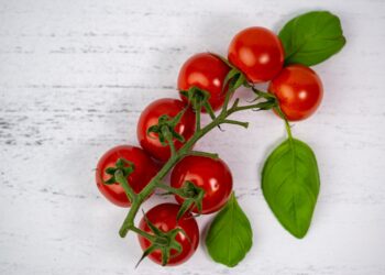 Low Carb Pizza – Tomaten Mozzarella Pizza